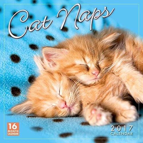 Cat Naps 2017 Wall Calendar