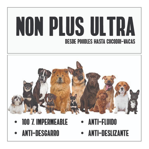 Protector Sillas Para Carro Mascotas Con Alas +regalo Correa