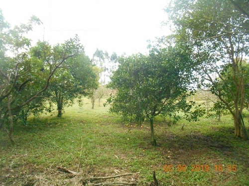 Chácara 5.000 M² - Vila Nova - Glorinha - Rs - 2173 - 34266631