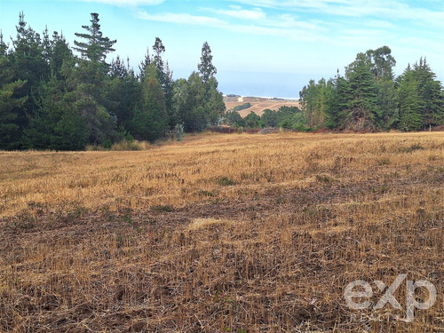 Sitio 3 Has. En Venta En Pichilemu