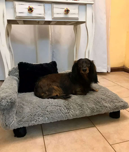 Mau - Sillón Diván Perro O Gato Tamaño Chico