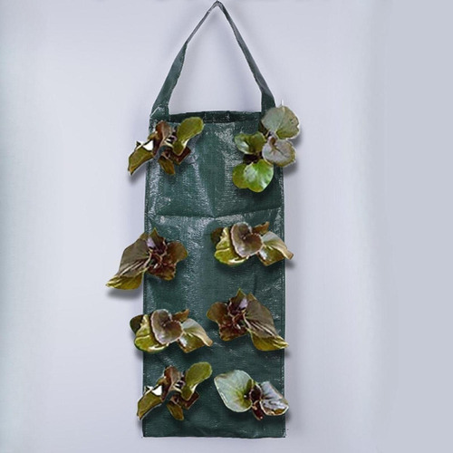 Saco De Cultivo De Morango, Saco De Plantio Suspenso, Bolsa