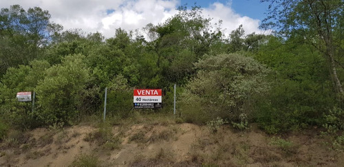 Venta De Terreno Para Desarrollar O Como Inversión