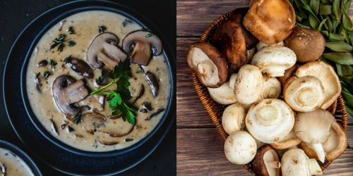 Kit Fungí Champiñon, Orellana Y Shiitake Frescos