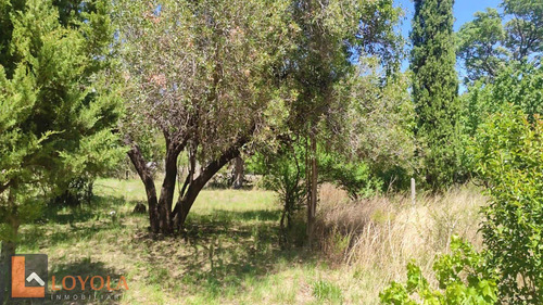 Casa Para Restaurar En Venta Rincón Del Este Merlo San Luis