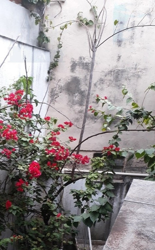 Imagem 6 de 7 de Casa Para Venda, 4 Dormitórios, Jardim Maria Estela - São Paulo - 10230