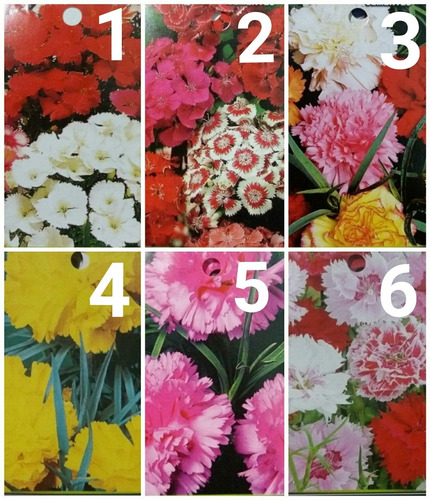 Imagen 1 de 10 de Sobres De Semillas Flores Varias