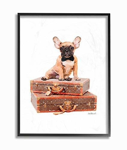 Stupell Industries Travelling Frenchie Con Pajarita Sobre Eq