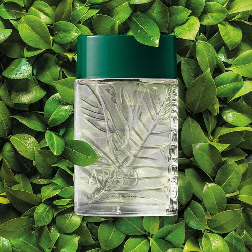 Arbo Des. Colônia, 100ml