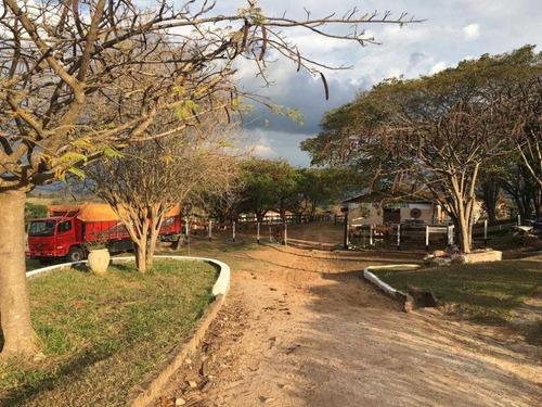 Ótimo Haras Com 41 Hectares Com 23 Baias 3.000,000,00 - 39282