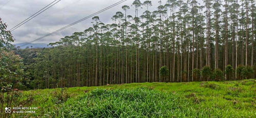 Imagem 1 de 8 de 31- Empreendimento Mais Deseja Em Arujá