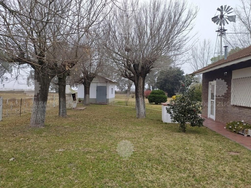 Imagen 8 de 25 de Terreno Campo En Venta En Berazategui, G.b.a. Zona Sur, Argentina