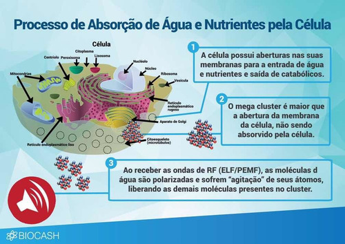 Magnetizador De Água Bio - Pet Saúde E Bem Estar