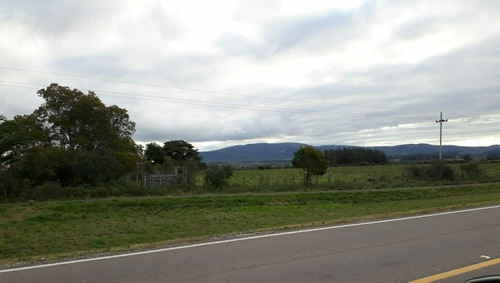 Campo De 6 Has 932 M 2 Ubicado En Ruta 60