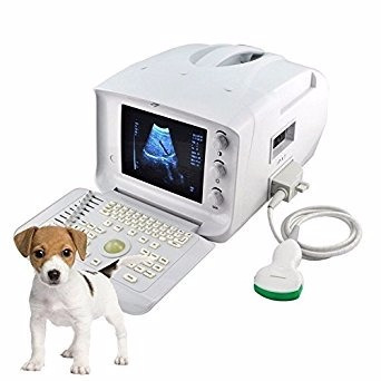 Máquina De Ultrasonido Veterinaria Caballo Gato Perro Ovejas