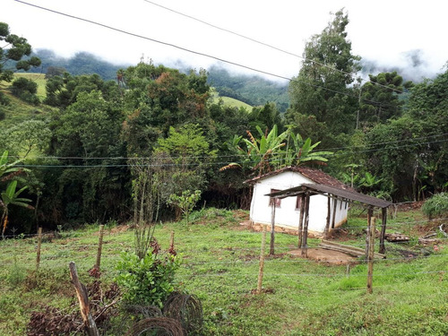 Imagem 7 de 14 de Chácara 3000m2 Em Aiuruoca Sul De Minas