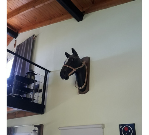 Imagen 11 de 20 de Chacras De Abbott - Casa Estilo Campo