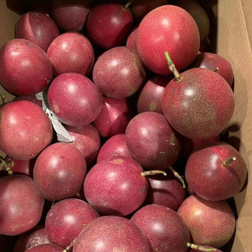 Maracuya Morada