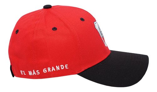 Imagen 2 de 10 de Gorra Gorro River Boca Oficial Hombre Mujer Trucker Adult Pp