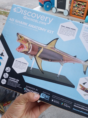 Kit Anatomía Del Tiburón 4d Usado