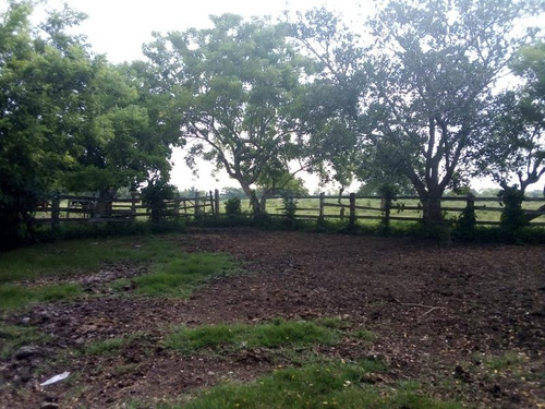 Venta Rancho Ganadero 100 Hectáreas Tamiahua Veracruz