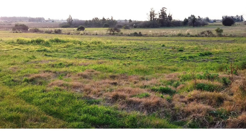Campo 57 Hectareas Con Arroyo En Canelones