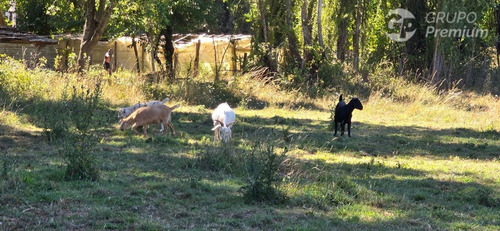 Parcela De 5000mts2 En Venta En Sector Los Junquillos