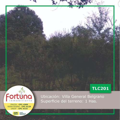 Imagen 2 de 10 de Venta De Fracción De 1 Hectárea En Villa General Belgrano - Tlc0201