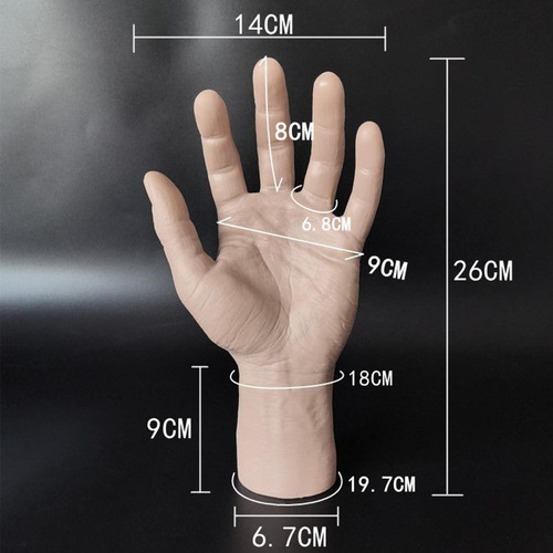 2 Piezas De Mano Masculina, Modelo De Manos Falsas,