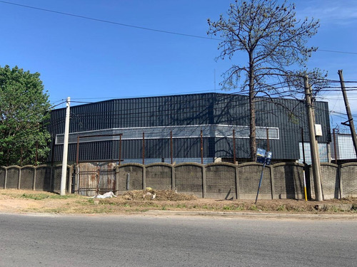 Imagen 5 de 10 de Local 300 M2 A La Venta Bv Segui 3700