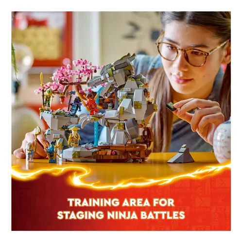 Dragon Stone Shrine: Constrói E Exibe Ninja Ninjago | Frete grátis