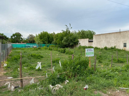 Imagen 2 de 4 de Lote En Lobos