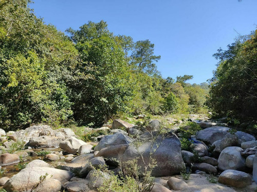 Imagen 2 de 12 de Terreno En Venta Los Pinares El Tuito