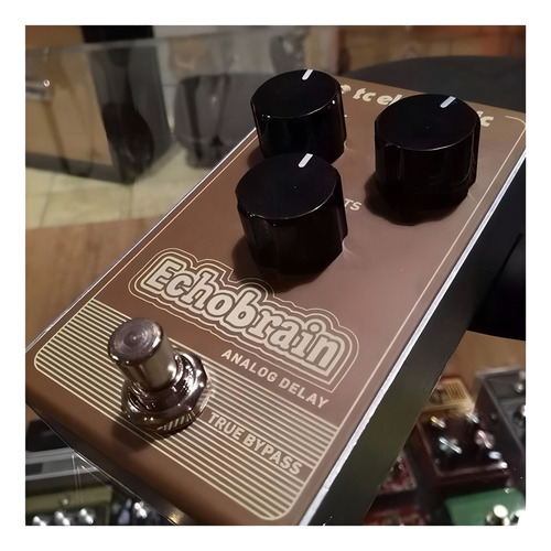 Tc Electronic Echobrain Analog Delay Pedal Guitarra Color Marrón Oscuro
