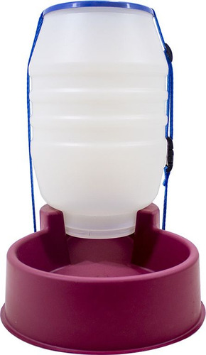 Comedouro Automático Para Cães E Gatos - 5kg