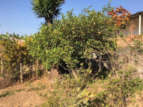 Imagem 8 de 11 de Barracão Para Venda Em Ribeirão Das Neves, Rosaneves, 1 Dormitório, 1 Banheiro - V274_1-2025266