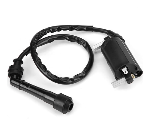 Bobina De Encendido Para Accesorio Fit Savage 650 Ls650p 198