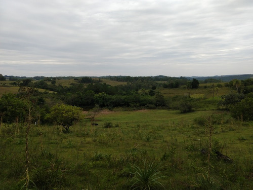 Chácara 9.740 M² - Vira Machado - Gravataí - Rs - 2307 - 34803010