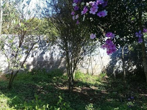 Imagem 8 de 20 de Chácara / / Mairinque-sp - 68422914