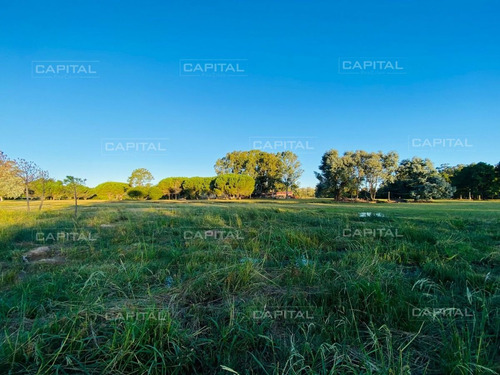 Imagen 2 de 3 de Terreno En La Barra, La Barra - La Barra La Barra