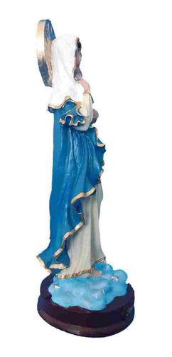 Imagem 4 de 5 de Sagrado Coração De Maria Imagem Em Resina Com 20 Cm