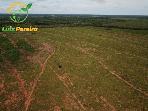 Imagem 12 de 15 de Fazenda À Venda Em Fátima - To-excelente P/ Lavoura, Plantio De Até 800 Hec - 1617
