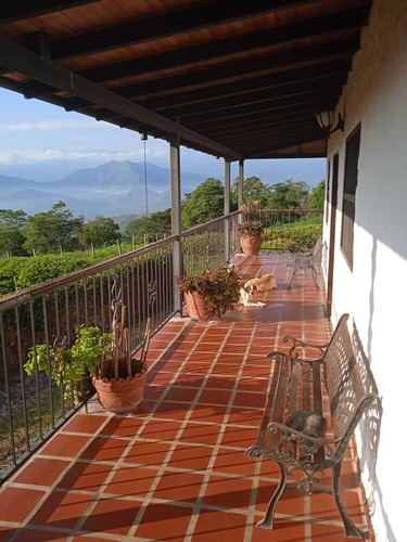 Imagen 14 de 30 de José Herrera Vende Finca En Edo. Tachira.(cod. Plf-002)