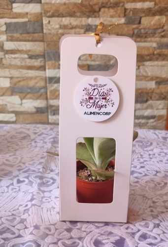 Imagen 2 de 5 de Regalos, Recuerdos Personalizados Naturales Suculentas Ofert
