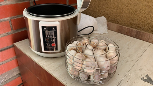 Ajo Negro Maquina Fermentadora