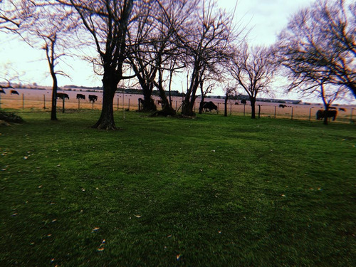 Imagen 21 de 23 de Campo - Alsina