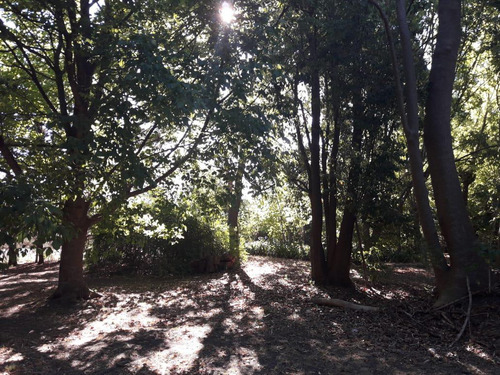 Terrenos En Venta - 2.242mts2 - El Rodeo, Abasto, La Plata