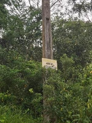 Imagem 2 de 8 de Ótimo Terreno Para Chácara À Venda Na Praia De Itanhaém 7010