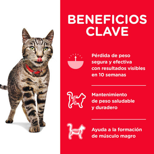 Imagen 8 de 10 de Alimento Gato Croquetas Adulto Pollo Nutrición 6 Kg Hill's