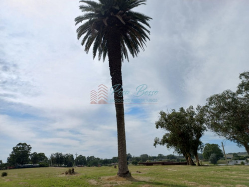 Imagen 11 de 14 de Venta De Lote En El Quijote - La Barra El Quijote